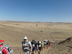 サハラマラソン2013