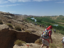 サハラマラソン2013