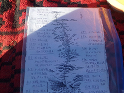 サハラマラソン2013