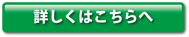 レンタルプラン詳しくはこちらへ